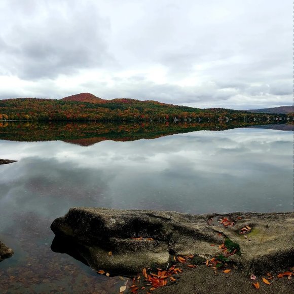 Meet your Posher, Kelly - Picture 8 of 9